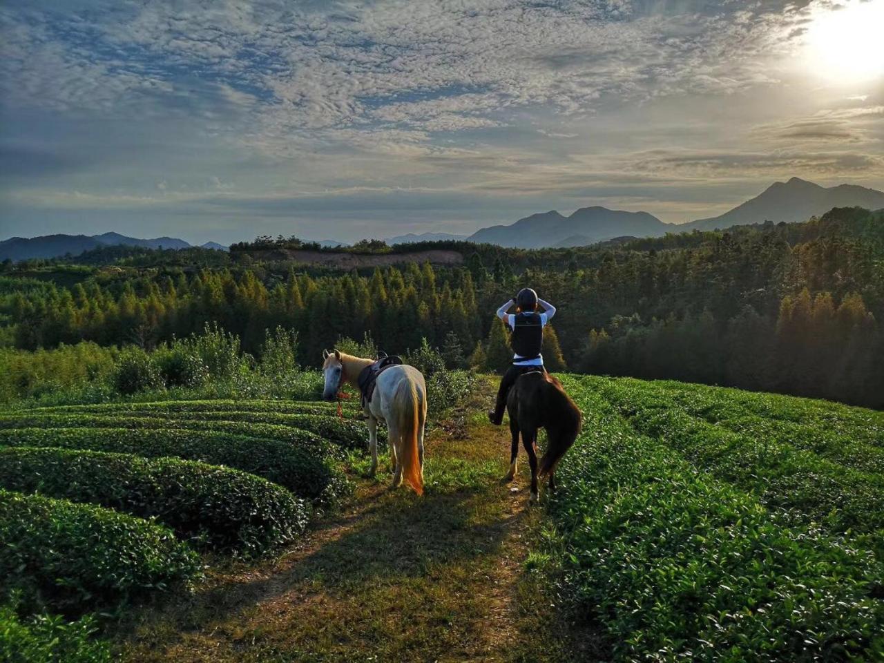 Moganshan Solvang Village Boutique Hotel Deqing Εξωτερικό φωτογραφία